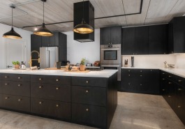 Majestic-Tiles-Chicago-kitchen-remodeling-Palatine-