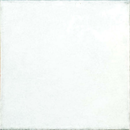 OLARIA_WHITE