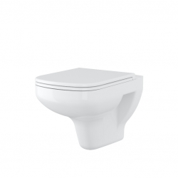 WALL-HUNG TOILET BOWL COLOUR