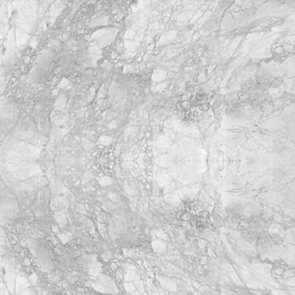 PORTO GREY POLISHED 61X129